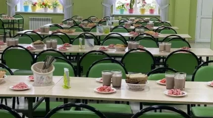 Елімізде балалар ұйымдарында санитариялық бақылау күшейтілді