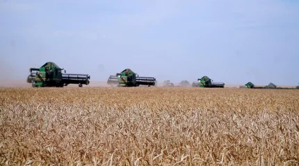 Казахстан переходит к прогрессивной агроэкономике по поручению Президента