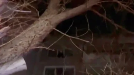 В Караганде сотрудники МЧС предотвратили трагедию — спасли ребёнка