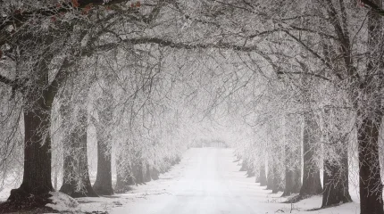 Ауа райына байланысты үш облыста жол жабылды