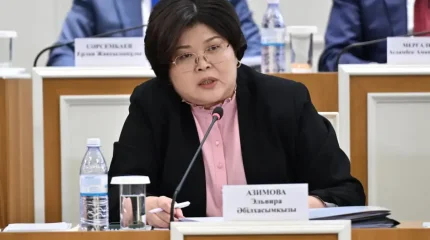 Жаңа Конституция жобасына 4 мыңнан астам ұсыныс түскен