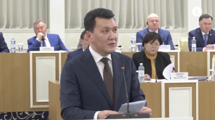 Ерлан Қарин: қолданыстағы Конституция кеңестік дәуірдің лекcикасымен жазылған