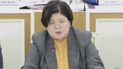 Более 4 тысяч предложений поступило по проекту новой Конституции – Эльвира Азимова