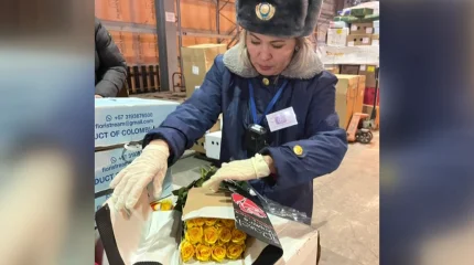 В Карагандинском аэропорту «задержаны» 5 тысяч опасных роз из Эквадора