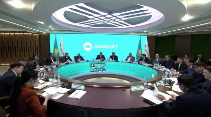 Перевозку пассажиров на Toyota Alphard запретят