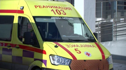 Өз анасын тұншықтырып өлтірген