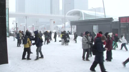 Зияткерлік мектепке түсу үшін қосымша білім алу шарт па?