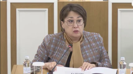 Конституция мәтінін Брайль форматына бейімдеуді ұсынды