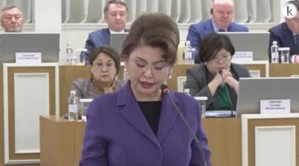 "Жаңа Конституция жобасы сөз бостандығына кепілдік береді", - А.Балаева