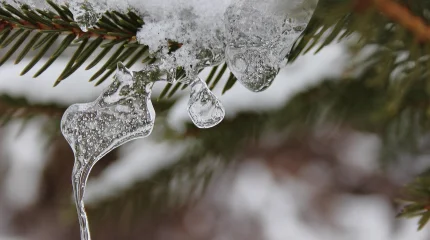 Прогноз погоды на 8 февраля 2026: мороз в Астане, облачность в Алматы и прохладно в Шымкенте