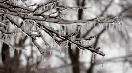 Дождь и метель в Астане, +16 в Шымкенте: погода в мегаполисах в понедельник, 9 февраля