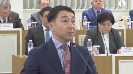 Конституциялық комиссия жаңа Ата заңда волонтерлік қызмет мәртебесін бекітуді қолдады