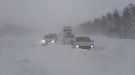 Жолда қалған 12 адам құтқарылды