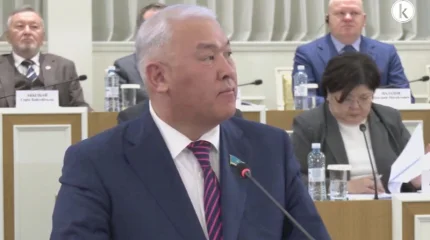 Құрылтайды «президент таратады» деген норманы өзгерту қажет – Әбенов