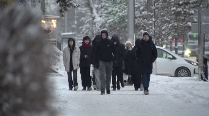 «Актив Ломбард» желісінің иесі қамауға алынды