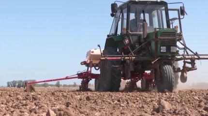 Түркістан облысы Жетісай ауданында дихандар ерте пісетін бақша өнімдерін еге алмай отыр