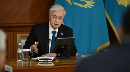 "Жаңа Салық кодексінің тиімді енгізілуін қамтамасыз ету керек", - Президент