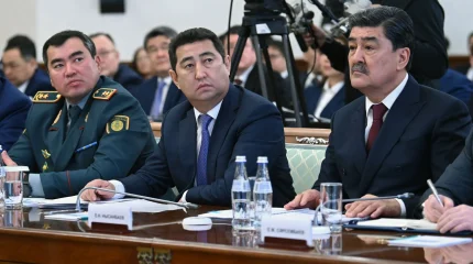 "Электр қуаты тұрақты әрі жеткілікті көлемде өндірілмесе, жасанды интеллектіні енгізу және жаппай цифрландыруды жүзеге асыру мүмкін болмайтыны анық", - Президент