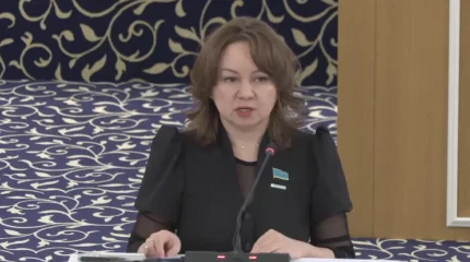 Жаңа Конституцияда өтпелі рәсімдер, мерзімдер мен регламенттер нақты жазылады – Снежанна Имашева