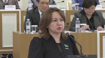 Депутат предложила четко прописать порядок вступления новой Конституции в силу