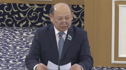 Жаңа Конституция жобасы бүкілхалықтық референдумға шығаруға дайын – мәслихат төрағасы