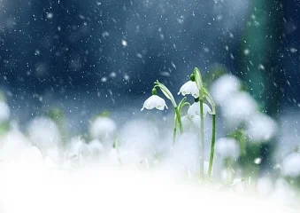 Сильные осадки ударят по югу, а морозы – по всему Казахстану