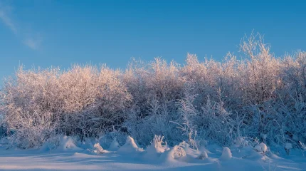 Алдағы күндері 33 градус аяз болады