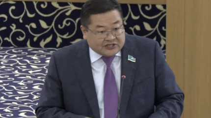 Мы предлагаем нашему обществу Конституцию знаний и инноваций, -  Айдос Сарым