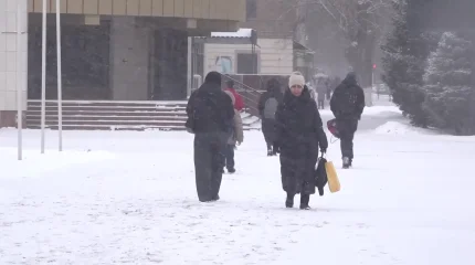 Два пастуха замерзли насмерть в Западном Казахстане: возбуждено уголовное дело