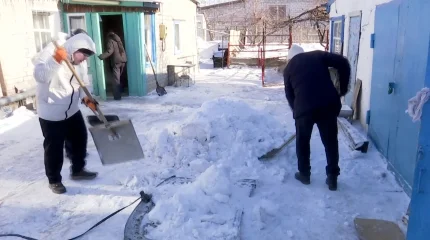 Павлодарлық жастар жалғызбасты қарияға көмектесті