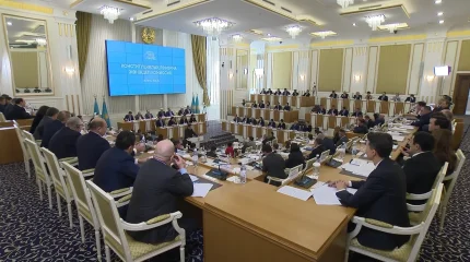 Жаңа Конституцияның жобасы жарияланды