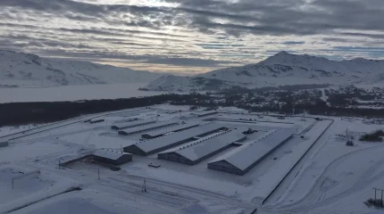 Программу переселения пересмотрели в Восточном Казахстане после участившихся фактов мошенничества