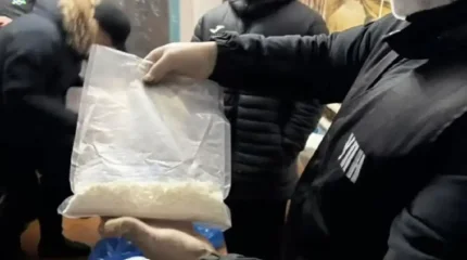 ШҚО-да есірткі өсірген фитозертхана әшкереленді