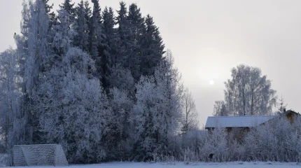 Погода 14 февраля 2026: морозы в Астане и тёплые дожди в Шымкенте
