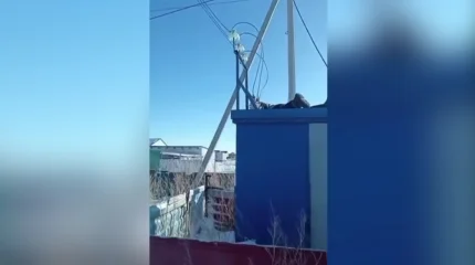 Психикалық ауруға шалдыққан тұрғын тоққа түсіп қалды