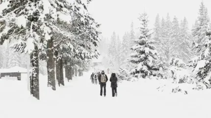 Ертең қалың қар жауып, күн суытады