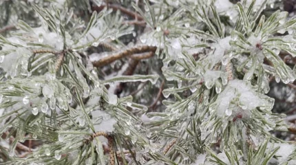 В Алматы дождь со снегом, в Шымкенте туман: прогноз погоды на воскресенье, 15 февраля