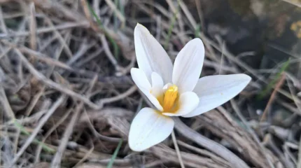 Март будет теплее и влажнее обычного, - «Казгидромет»