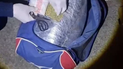 Жамбыл облысында 100 келіден астам марихуана тәркіленді