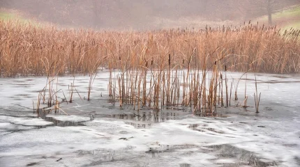 Мұз үстінде қалып қойған балықшы құтқарылды