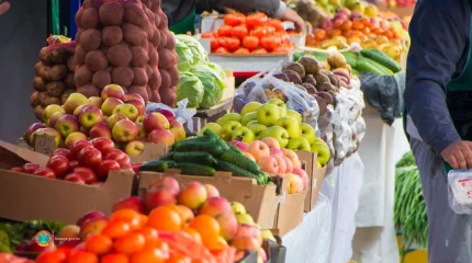 Астанада ауыл шаруашылығы жәрмеңкесі өтеді