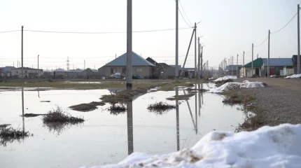 Таразда қалың қар еріп, қала көшелері суға толды