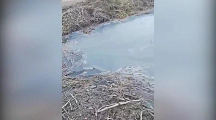 Нечистотами затопило территорию частных домов в микрорайоне Петропавловска