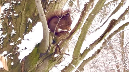 Сильный ветер и осадки ожидаются во всех мегаполисах в субботу, 21 февраля