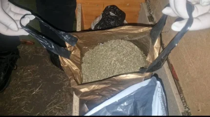 Мешок марихуаны нашли у жителя Катон-Карагая