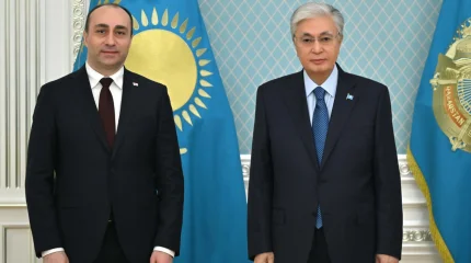 Мемлекет басшысы Грузияның Ішкі істер министрін қабылдады