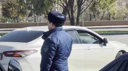 Шымкенттегі Дендросаябақта суицид белгілерімен мәйіт табылды