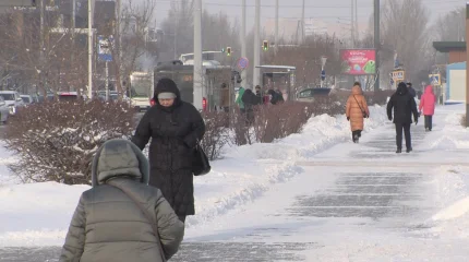 Каждый казахстанец будет ответственен за безопасность экологии, в случае принятия новой конституции