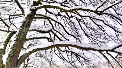 В Астане –31, в Шымкенте +13: погода на вторник, 24 января