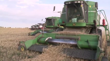 "Биыл күріш пен мақта егістіктері азаяды",- министр